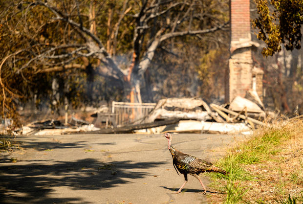 US-FIRE-WEATHER-ENVIRONMENT 