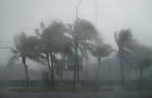 Palm trees move during heavy winds and rain from Hurricane Beryl in Cancun, Mexico, July 5, 2024. 