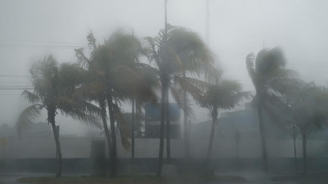Palm trees move during heavy winds and rain from Hurricane Beryl in Cancun, Mexico, July 5, 2024. 
