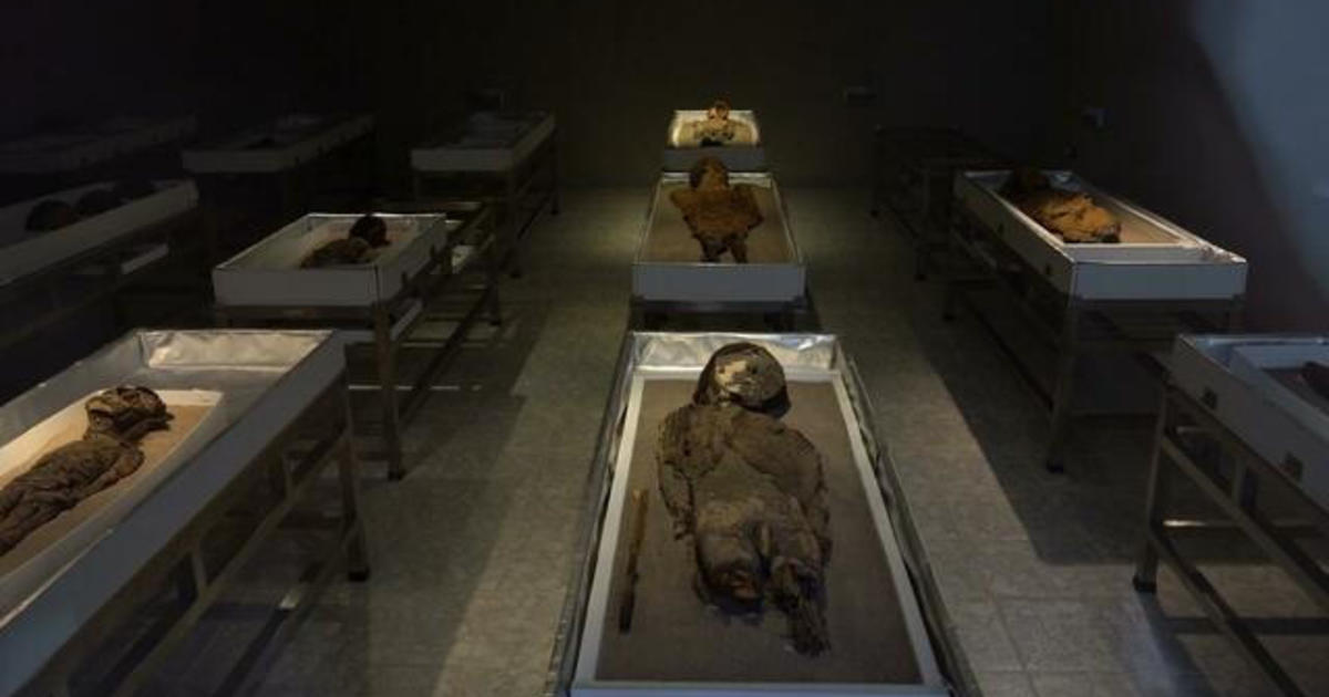 Arqueólogos chilenos corren contra el tiempo y el cambio climático para preservar momias antiguas