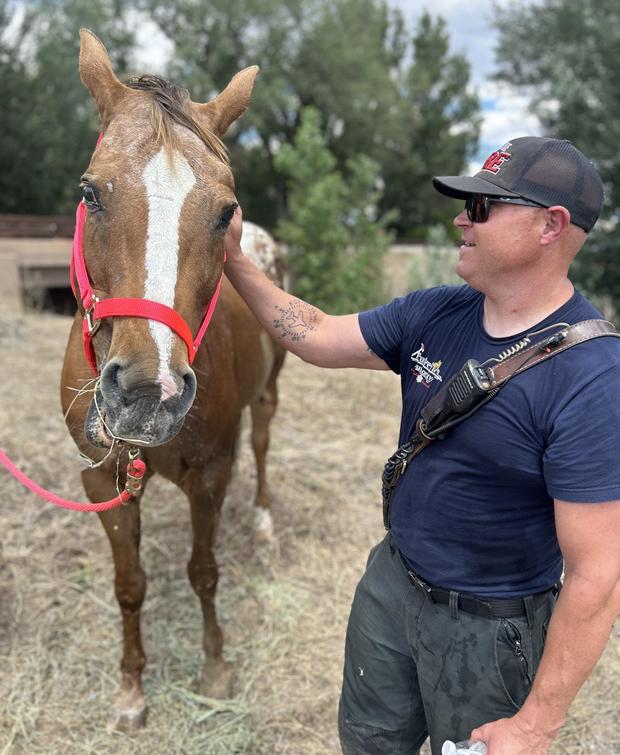 blind-horse-falls-into-canal-7-poudre-fire-authority-tweet.jpg 