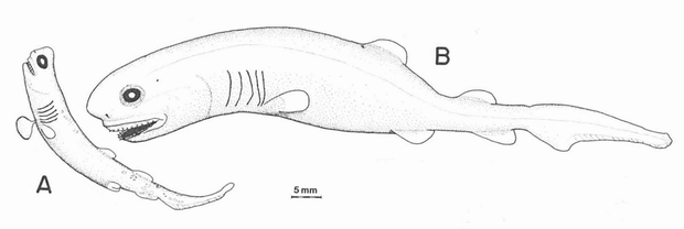 captura de tela-2024-07-08-at-13-37-57-pm.png