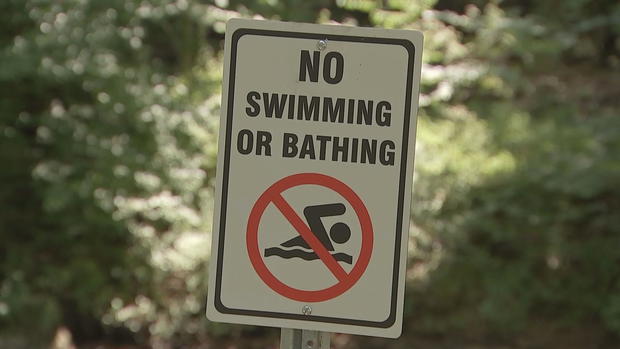 no-swimming-bathing.jpg 