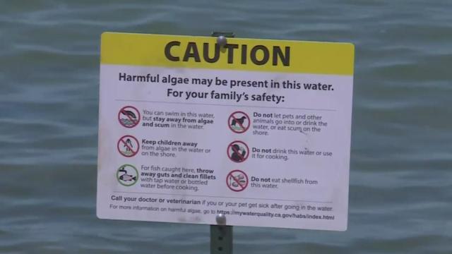 tahoe-caution-sign-algae.jpg 