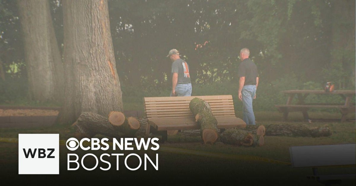 Girl injured by massive tree branch at Norwood summer camp - CBS Boston