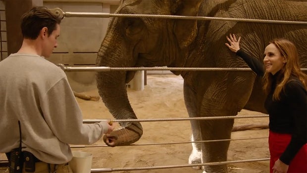 Encontros de fé com o elefante asiático-kamala.jpg