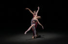 nycb-pas-de-deux-1280.jpg 