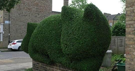 Londra'lı Bushe isimli bir adamın komşularının çalılıklarını sanata dönüştürme misyonunun nedeni