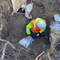 More than 2 dozen human skeletons found in hotel garden