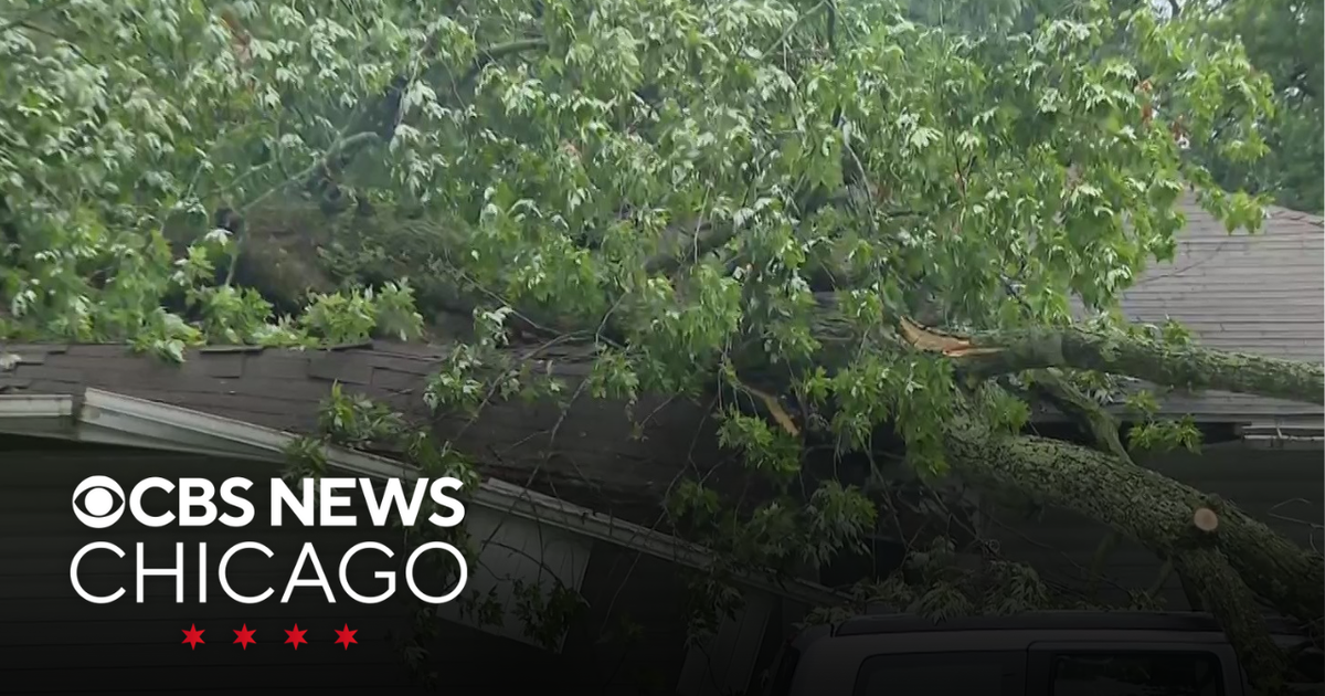 Woman dies after tree falls on Northwest Indiana home during severe ...