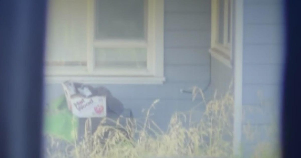 Stockton man arrested, accused of shooting dog with BB gun