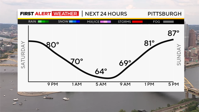 next-24-hours-temp-line-weather-bars-camera.png 