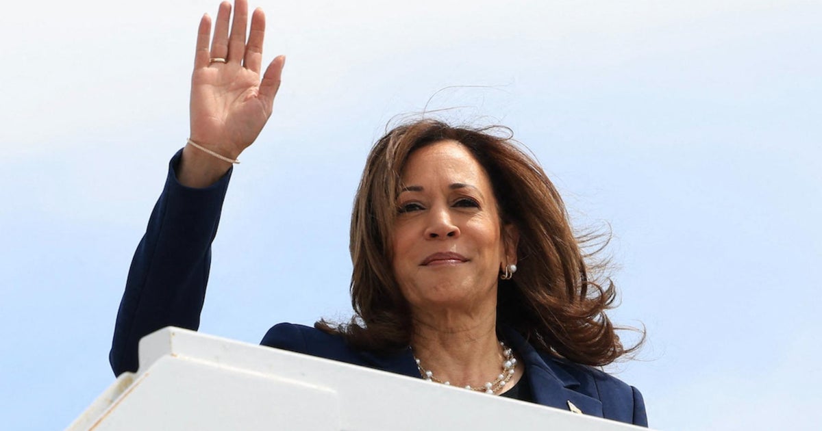 Democrats harness Harris momentum to rally around VP