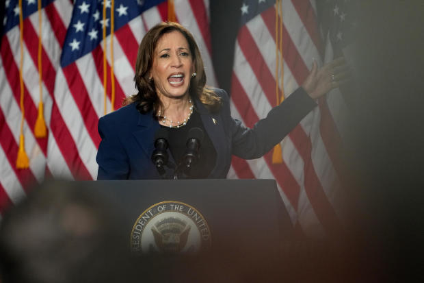 Vice President Kamala Harris speaks during a campaign event  