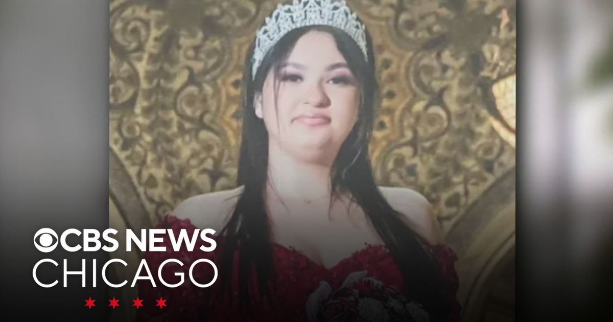 15-year-old girl killed by stray bullet in Chicago's north suburbs ...
