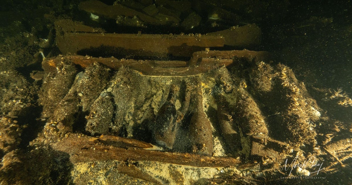 Champagne found in 19th century shipwreck off Sweden banned Champagne found in 19th century shipwreck off Sweden banned