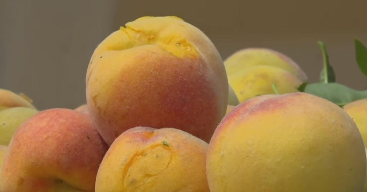 Warm temperatures are impacting Northern California crops, worrying farmers