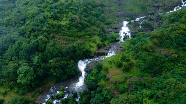 Scenic view of a waterfall in a forest 