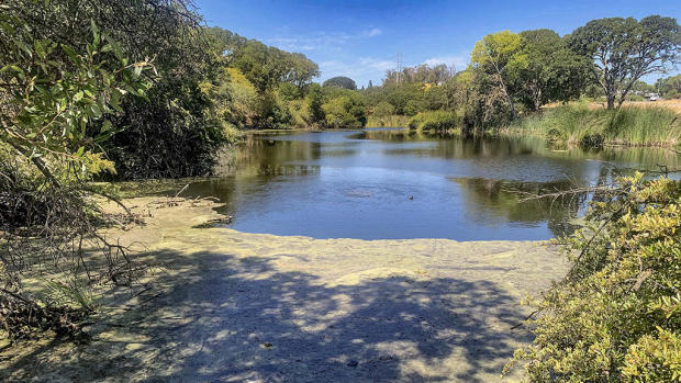 Hidden Lake Park in Martinez 