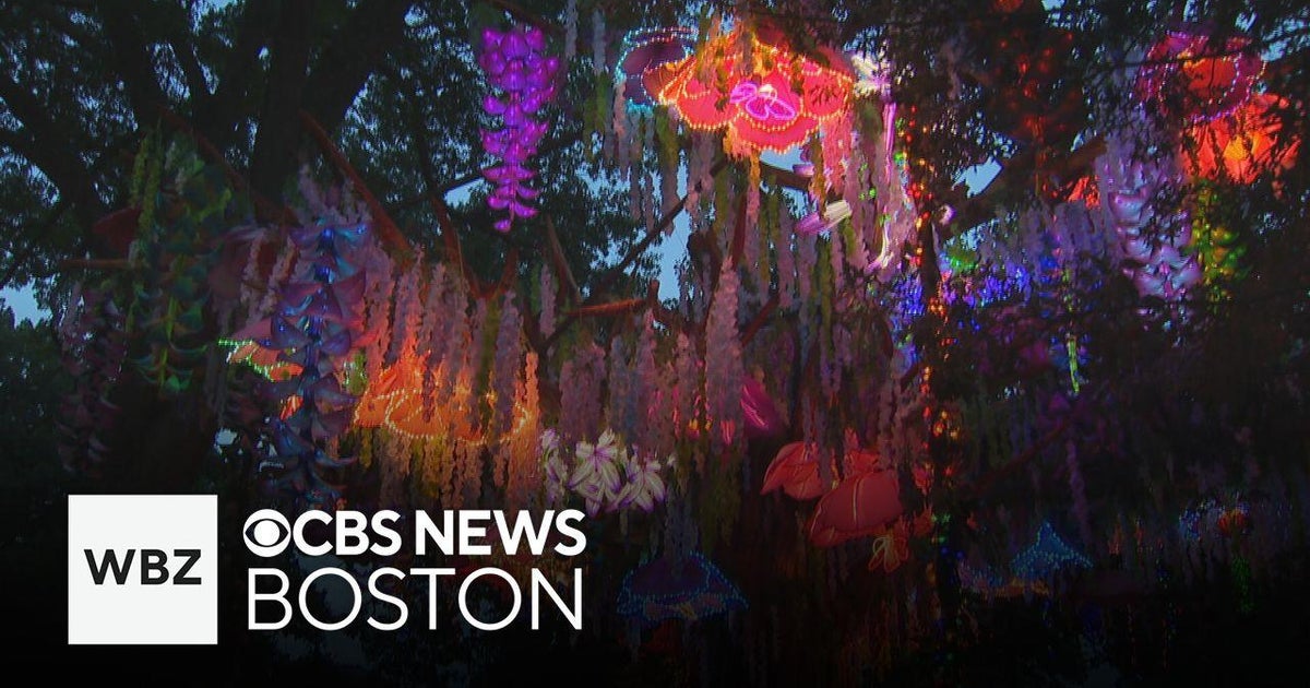Weekend To Do List: Events in Boston, Chelmsford and Chatham - CBS Boston