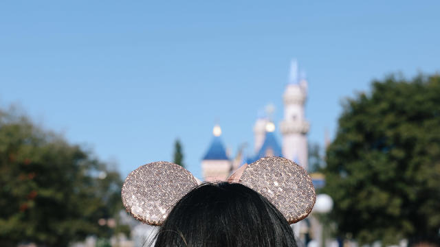 disneyland features 