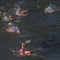 Olympics mixed relay held despite Belgian who swam in Seine taking ill