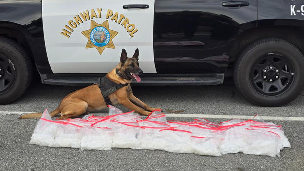 CHP K-9 Officer "Rudi" 