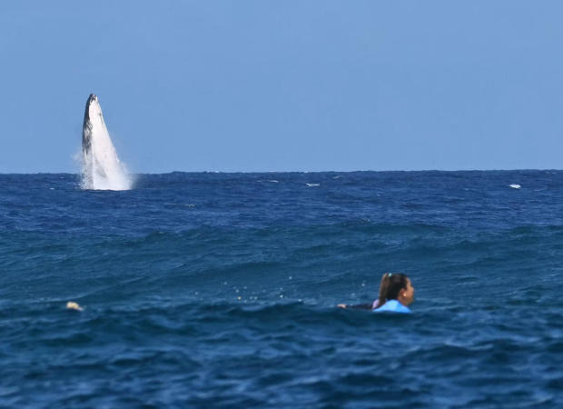 TOPSHOT-SURFING-OLY-PARIS-2024 