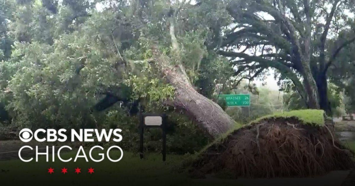 Tropical Storm Debby could cause catastrophic flooding in Georgia ...