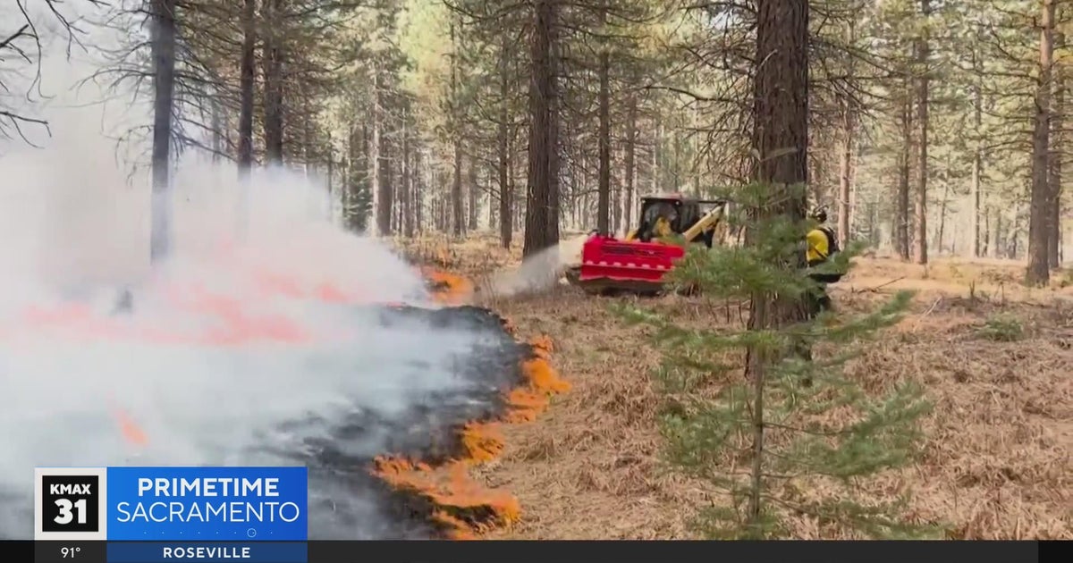 Why are control burns so misunderstood? | The Answer