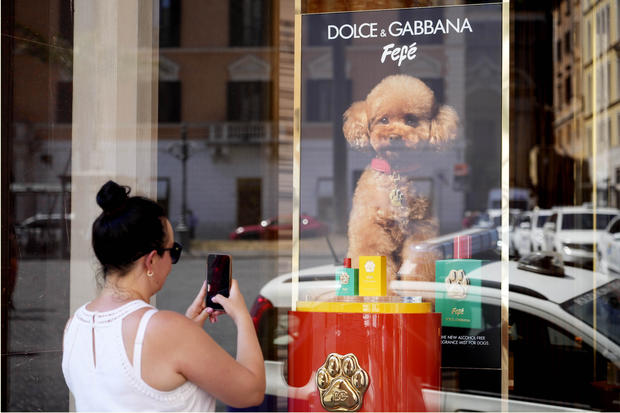 Italy Dog Perfume 