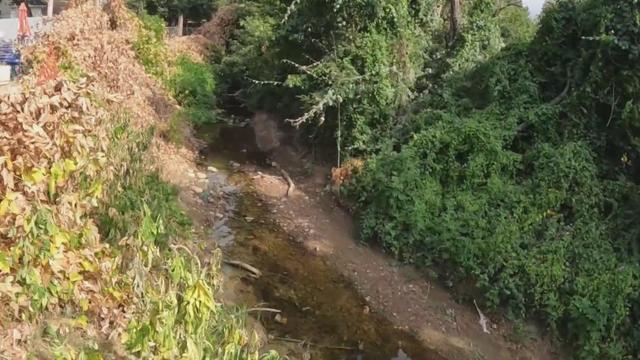 Woman watches backyard disappear after city says erosion is her problem 