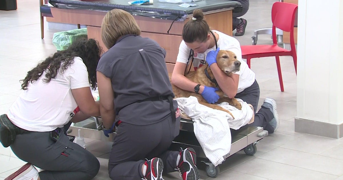 New emergency veterinary clinic in Elk Grove offers pet owners a unique experience