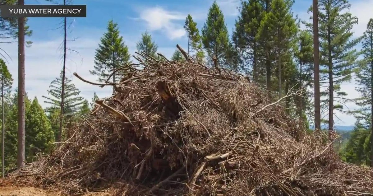 Construction can move forward for biomass plant to help reduce wildfire risk in Yuba County