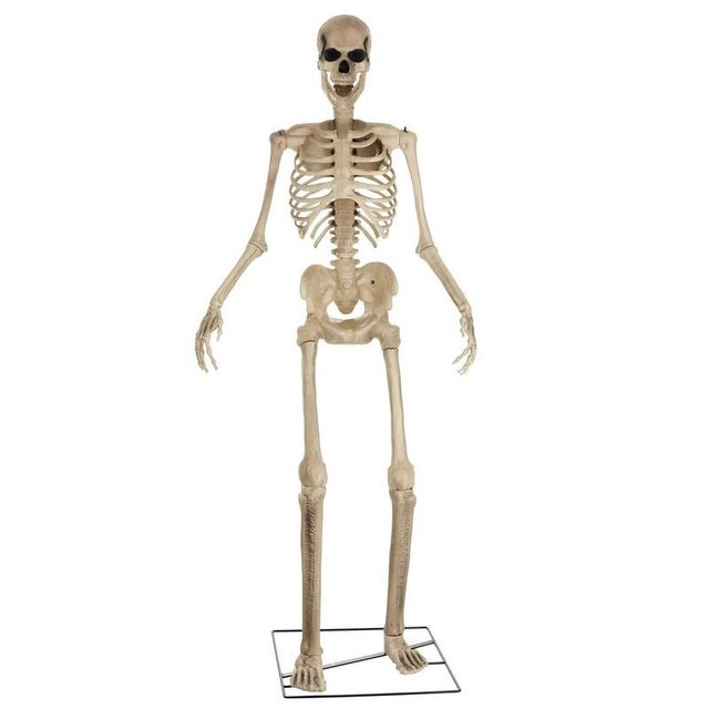 Animated 8 Foot Giant Skeleton 