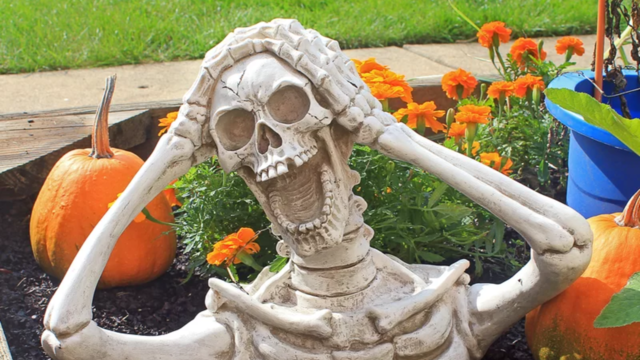 Wayfair Halloween Decorations 