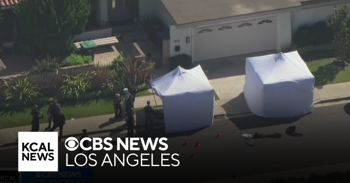 Police shoot and kill man who was fatally stabbing his own mother ...