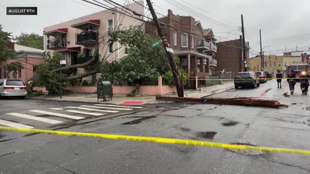 A downed tree, a downed pole and a pole that is leaning in a Queens intersection. 