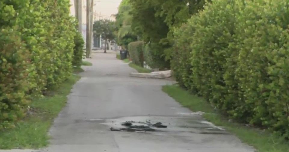 Hollywood firefighters discovered a body when responding to an alley fire Hollywood firefighters discovered a body when responding to an alley fire