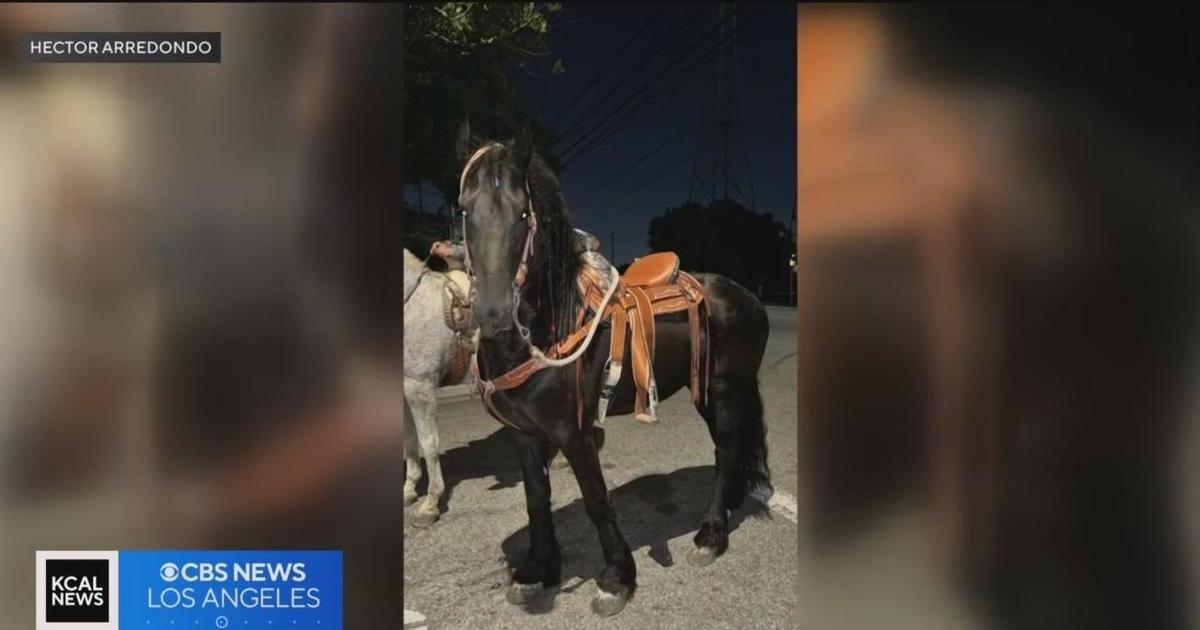 2 injured, horse killed after car crash in Compton neighborhood while desperately searching for safe place to ride