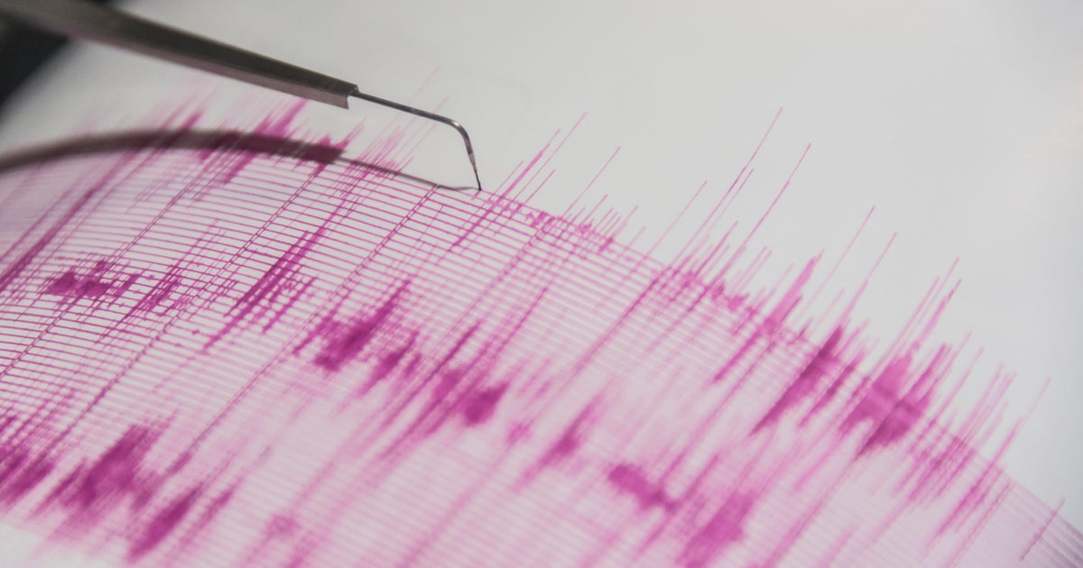Minor Earthquake Rattles Los Angeles Area