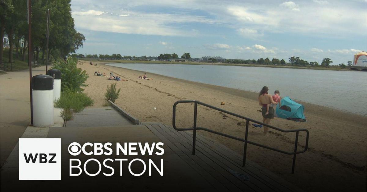 Department of Public Health closes dozens of Massachusetts beaches due to bacteria