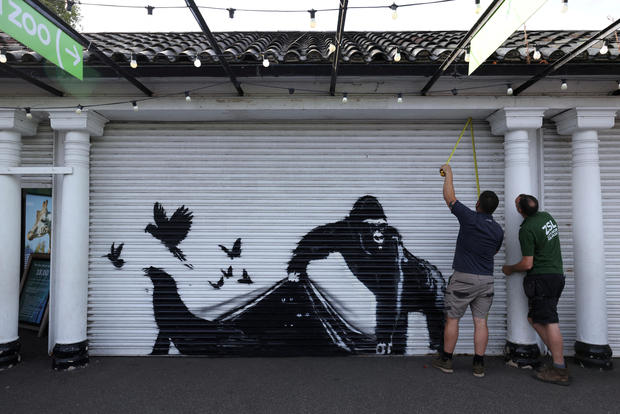 A view of the new Banksy artwork at London Zoo 