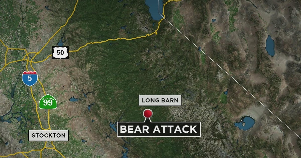Black bear attacks man on run in Tuolumne County