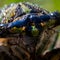 Cicadas come with an itchy pest &mdash; tiny mites that can cause rashes