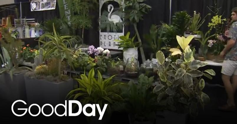 Find your dream home style at Tri-County Home & Garden Show & Expo ...