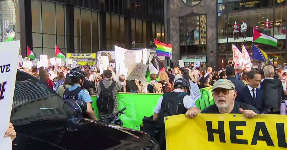 DNC protest in Chicago