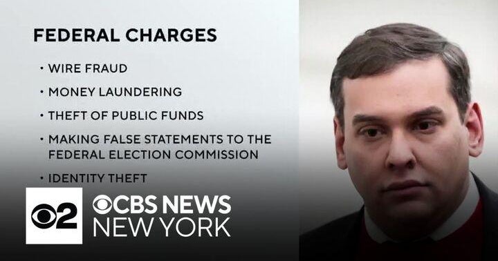 Former Congressman George Santos expected to plead guilty to some fraud ...