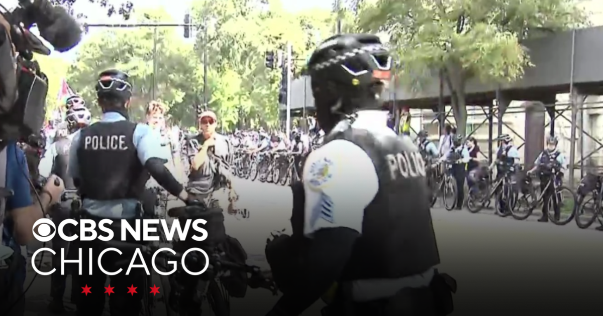 Pro-Palestinian Protests Mark DNC in Chicago