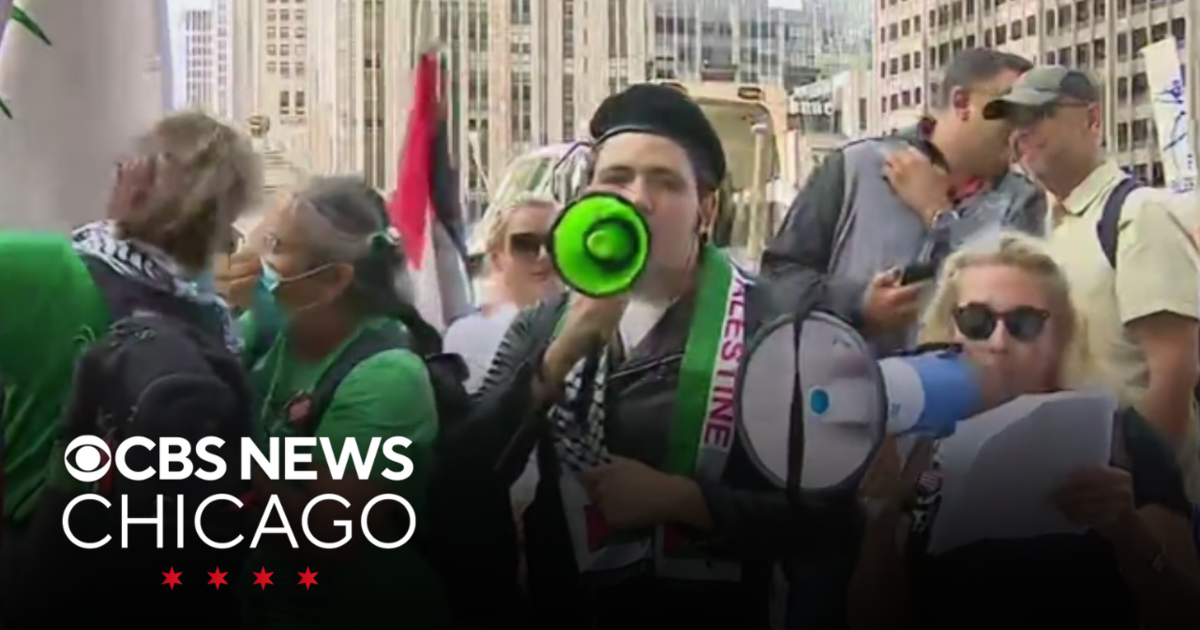 Pro-Palestinian Protests Escalate During Chicago DNC